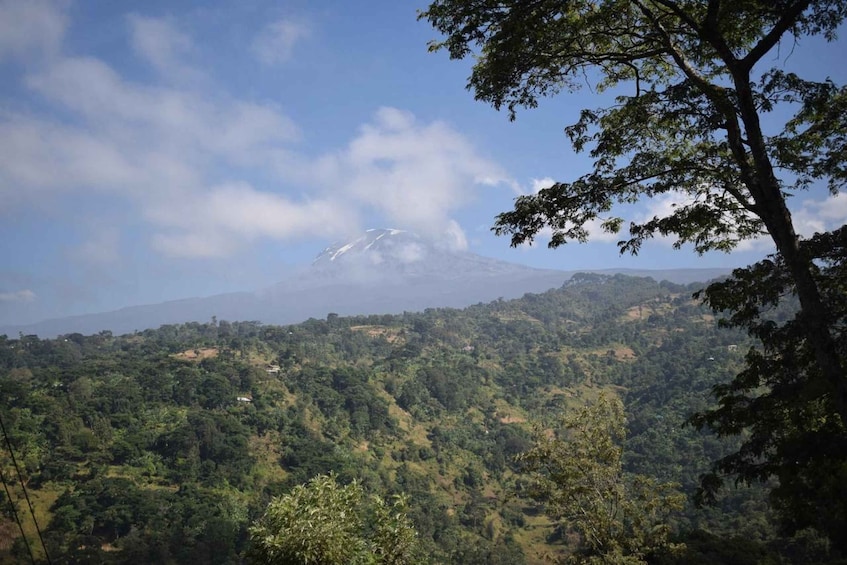 A mountain with a snow-capped peak, dense forested hills, and a clear sky. 2