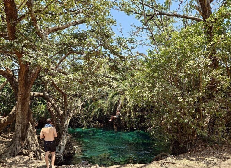 A person standing by a clear water body surrounded by dense foliage and trees. 4