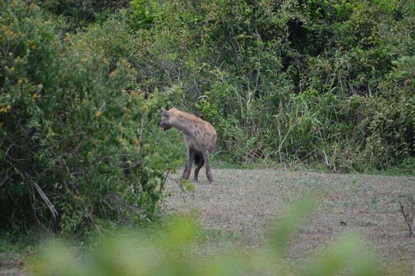 2-Day Nyerere Safari from Dar es Salaam 3