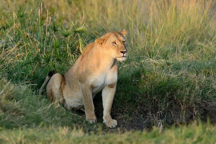 2-Day Nyerere Safari from Dar es Salaam 2