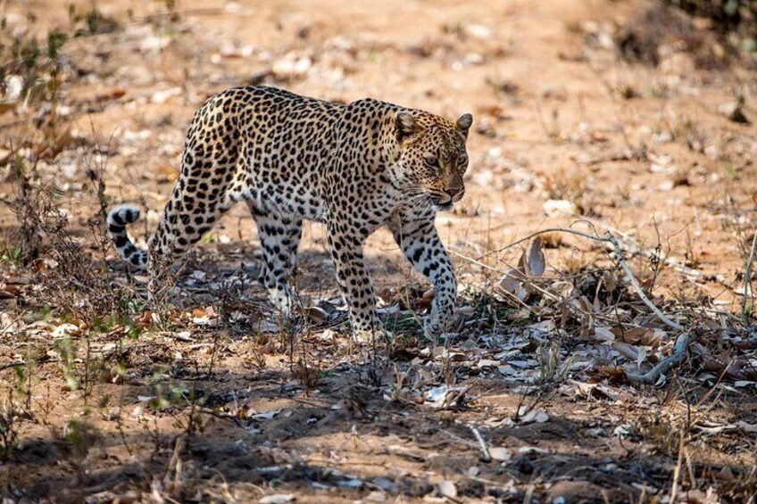 2-Day Nyerere Safari from Dar es Salaam 1