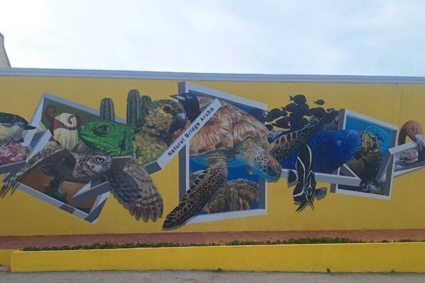A mural with various animals and the text 'Natural Bridge Aruba'. 3