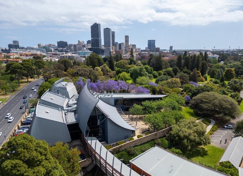 A cityscape with modern architecture, a park with purple flowering trees, and a busy road. 2