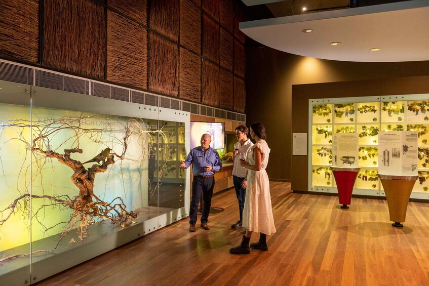 A museum interior with a large tree sculpture, informational displays, and visitors. 3