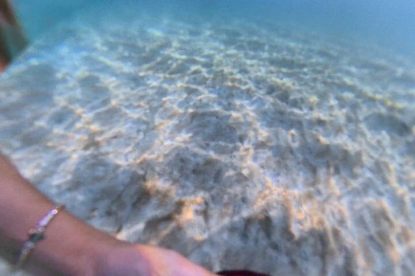 A hand touching the ocean floor, with visible sand and marine life. 2