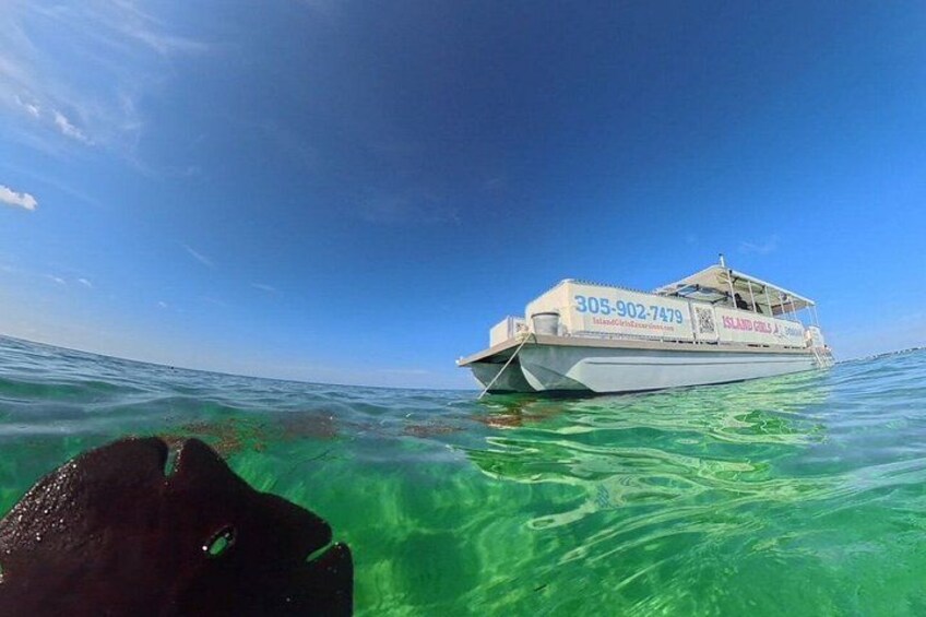 Summertime Morning Swim in the Florida Keys Catamaran 4