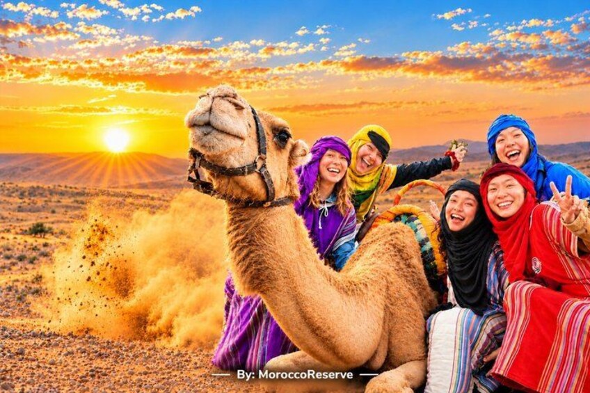 Marrakech: Agafay Desert Sunset to Stars, Camel Ride, Dinner Show 1