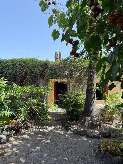 Picture 3 for Activity La Palma: Argual Sugar Mill and Casa Poggio Maldonado Tour 1