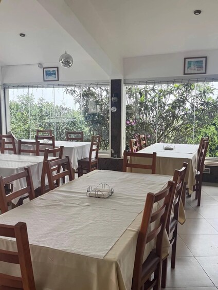 A restaurant with multiple tables and chairs, large windows, and indoor plants. 2