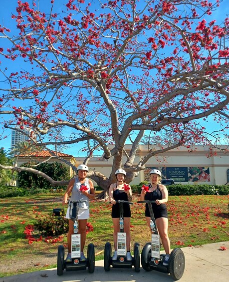 Three people on segways in front of a tree with red flowers. 1