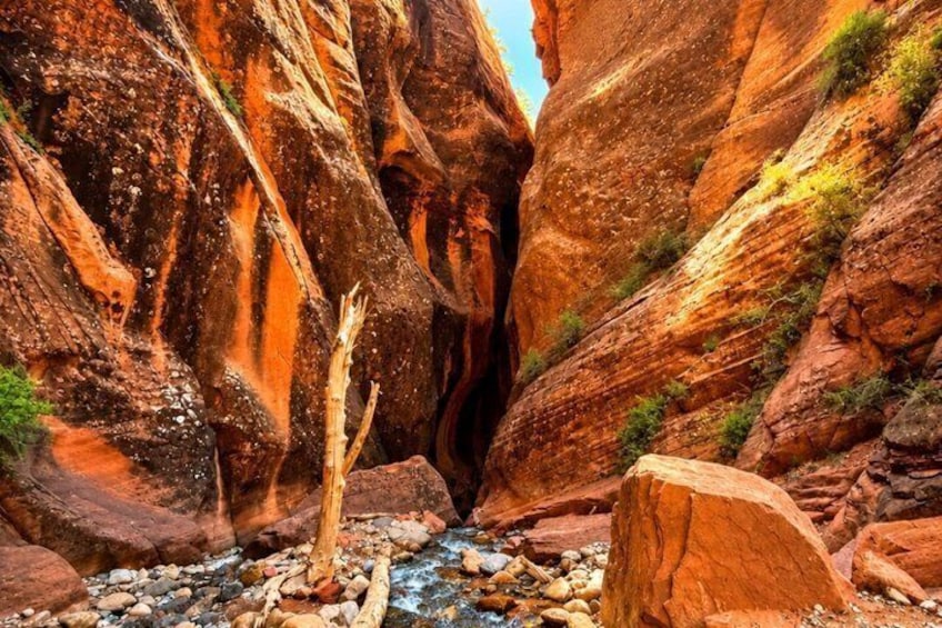 A narrow canyon with red rock walls, a small stream, and sparse vegetation. 2