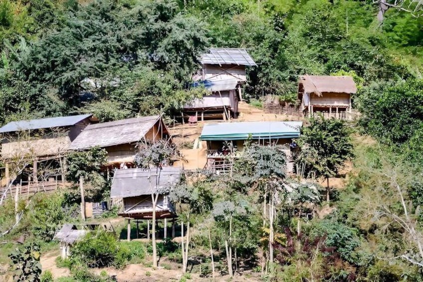 A hillside settlement with several houses, some with solar panels, surrounded by dense forest. 1