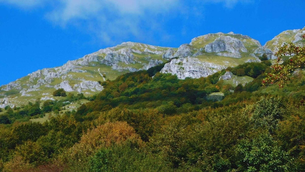 A mountainous landscape with rocky outcrops and dense green foliage. 1