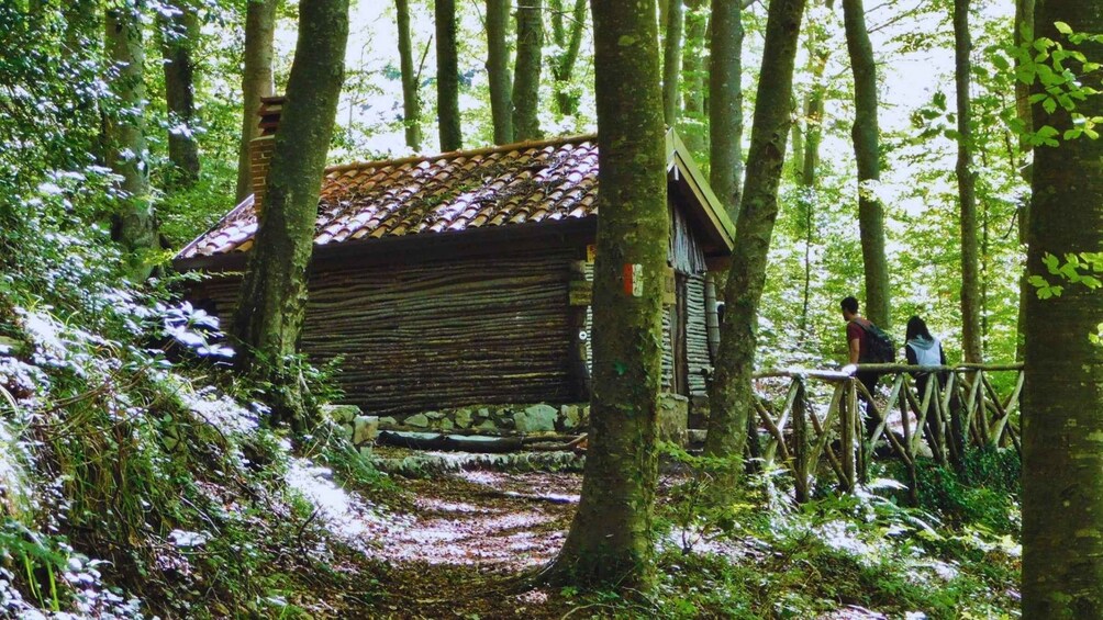 A rustic wooden cabin in a forest with a dirt path leading to it. 5