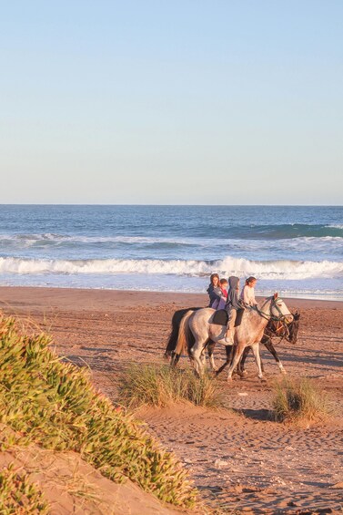 A beach with people riding horses along the shore. 3