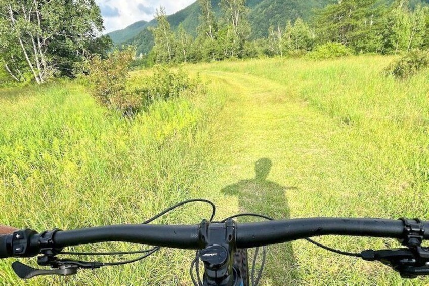 A bicycle's handlebars and a grassy path in a natural setting. 5