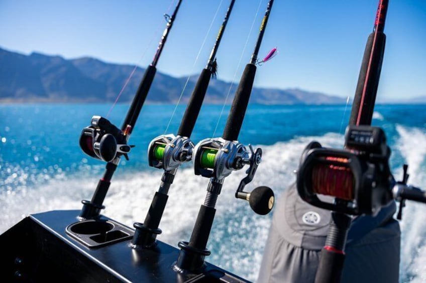 Fishing rods on a boat with a mountainous landscape in the background. 5