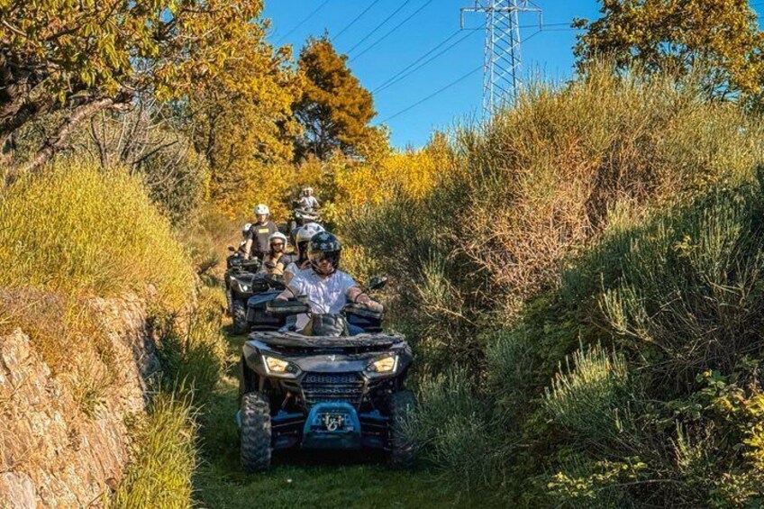 A group of people on an ATV in a natural, wooded area. 2