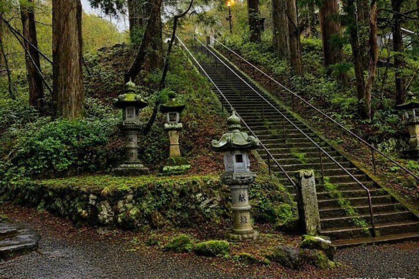 A forested area with stone lanterns and a staircase leading up a hill. 4
