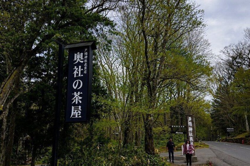 A signpost with Japanese characters, surrounded by trees and a road. 5