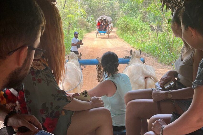 A group of people seated on a bench, watching a person riding a horse-drawn cart on a dirt path. 3