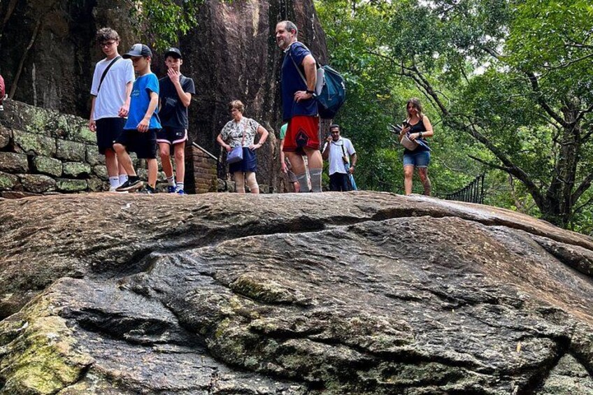 A group of people standing on a large rock formation with trees in the background. 4