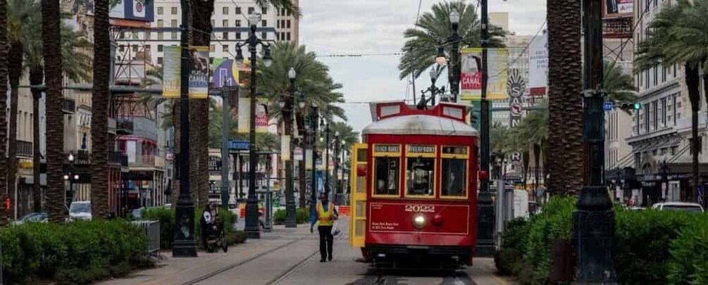 A red trolley on a street with palm trees and buildings. 5