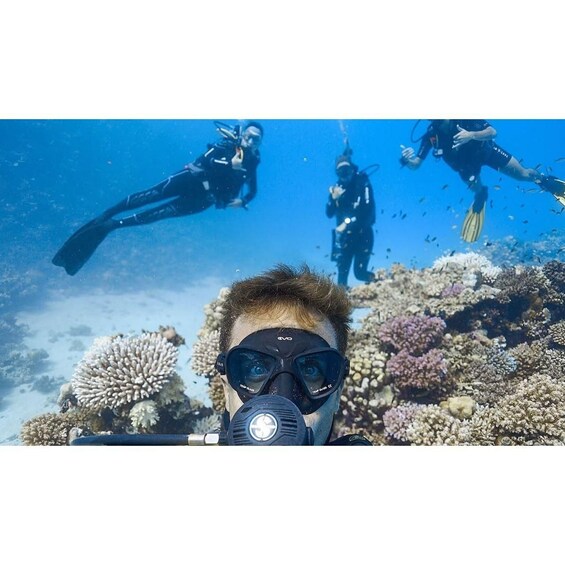 A diver with a camera, surrounded by coral reefs and other divers underwater. 4