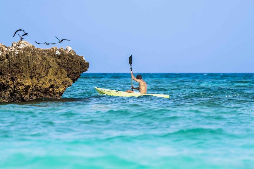 A person kayaking on turquoise water near a rocky outcrop with seagulls. 2