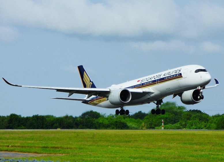 A Singapore Airlines airplane in mid-flight with its landing gear deployed, approaching a grassy airfield. 2
