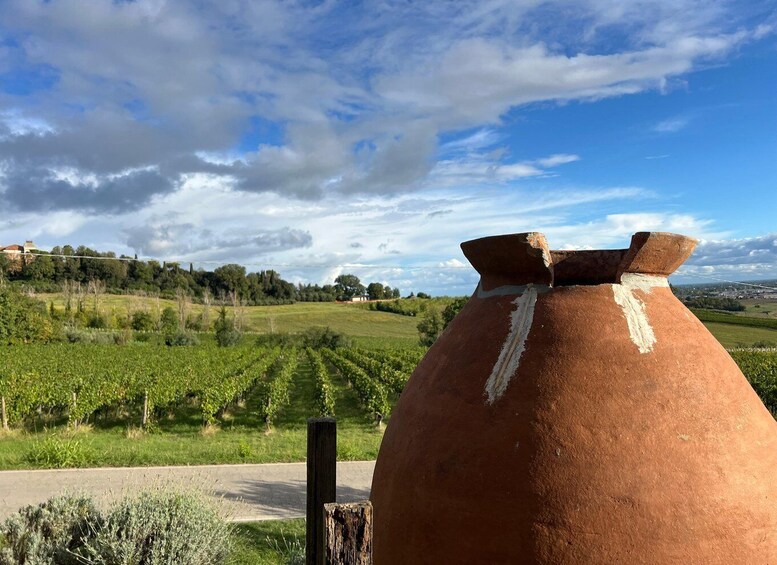 A large clay pot in a vineyard with a clear sky. 1