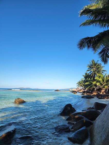 A tropical beach with clear turquoise water, large rocks, and palm trees. 3