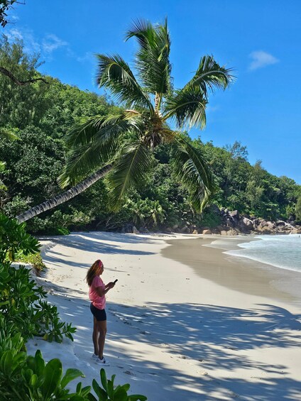 A person standing on a sandy beach with palm trees and dense foliage in the background. 1
