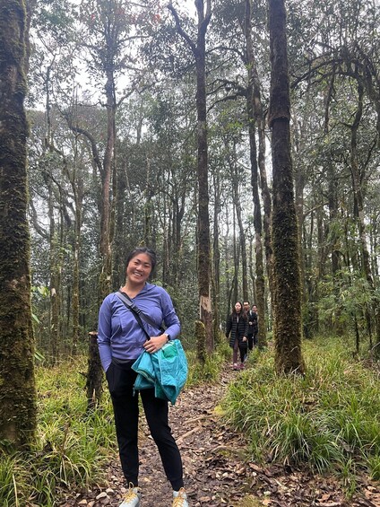 A forested area with a person standing on a trail, carrying a bag. 2