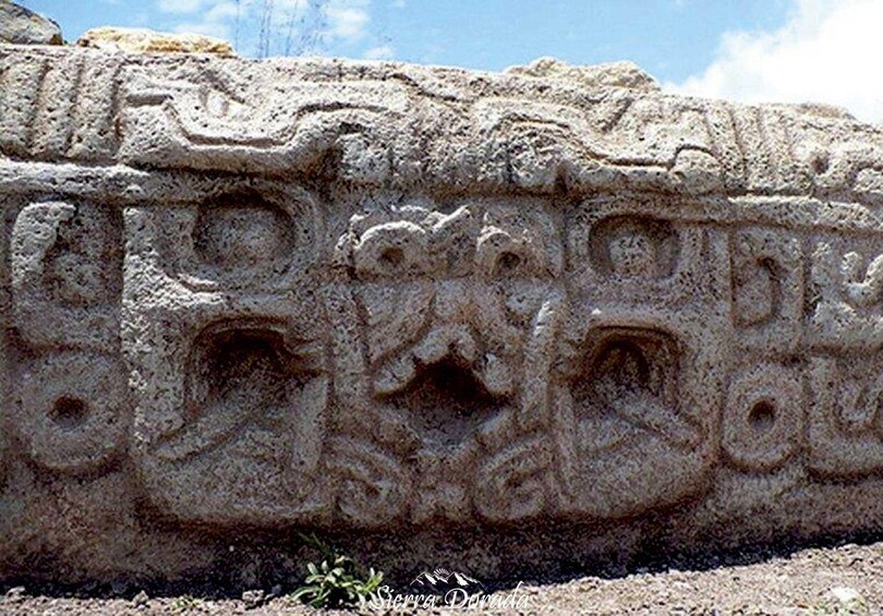Ancient stone carvings with circular and floral motifs. 3