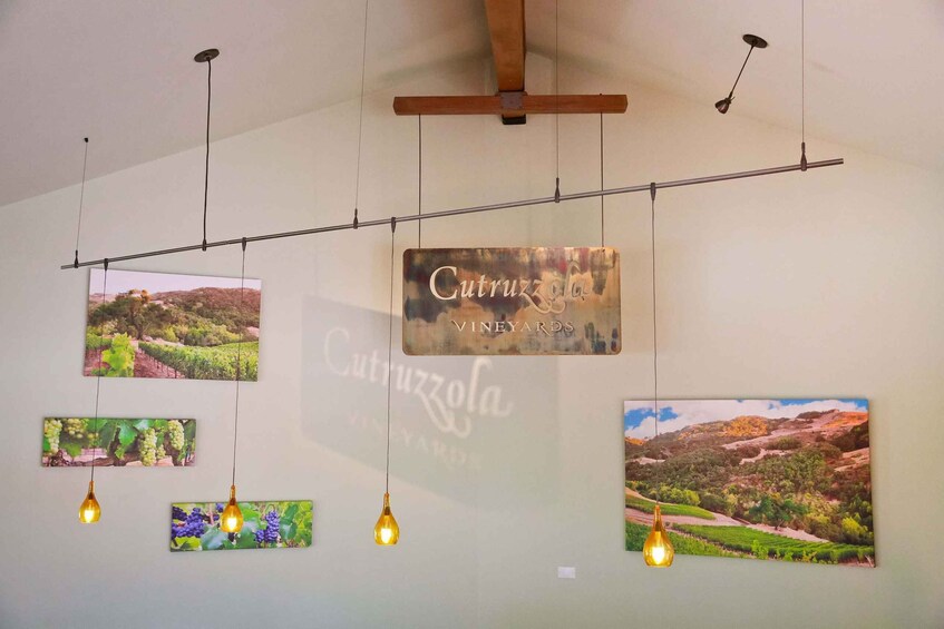 A wall with hanging lights and framed vineyard landscape photos. 5