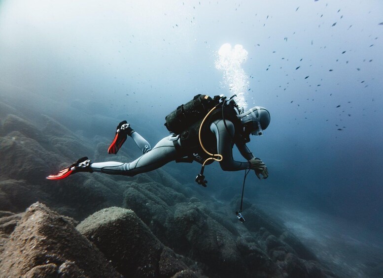 A diver in a wetsuit with a backpack and fins swimming underwater. 2