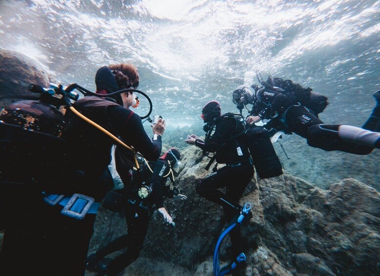 Scuba divers with cameras underwater, surrounded by rocky terrain. 5
