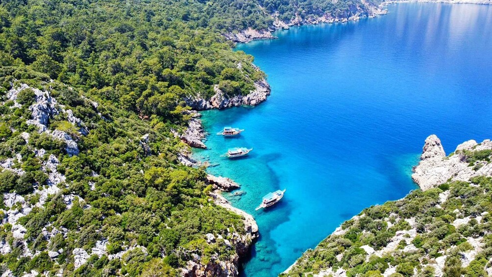 Un paisaje costero con mar azul cristalino, acantilados rocosos y vegetación verde exuberante. 5