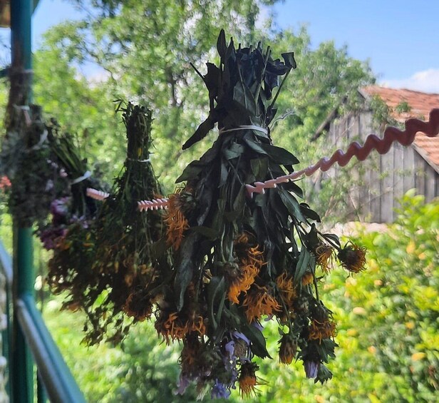 Dried flowers hanging outdoors with greenery in the background. 3