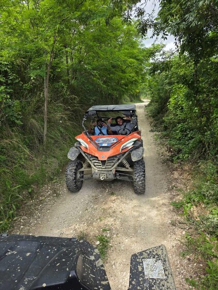 An orange ATV on a dirt path surrounded by greenery. 5