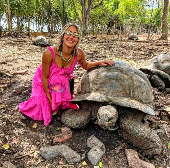 A person in a pink dress interacting with a tortoise in a natural setting with trees and rocks. 3