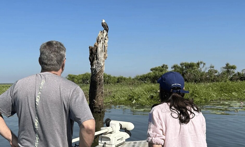 Two people on a boat, one wearing a cap, looking at a tree stump in the water. 5