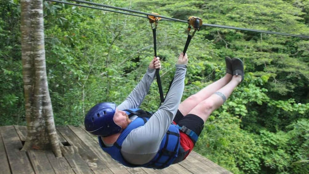 A person zip-lining through a forest. 1