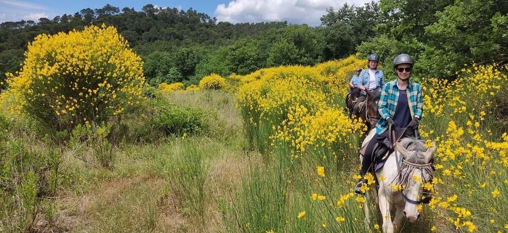 Two people riding horses through a field of yellow flowers. 3