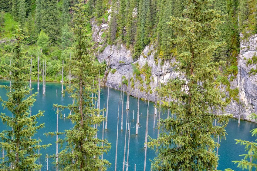 A forested lake with tall trees and rocky cliffs. 4