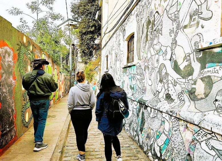 Picture 6 for Activity Santiago to San Antonio Port: Private Valparaiso & Viña Tour 2