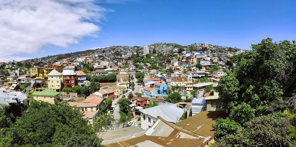 Picture 13 for Activity Santiago to San Antonio Port: Private Valparaiso & Viña Tour 3