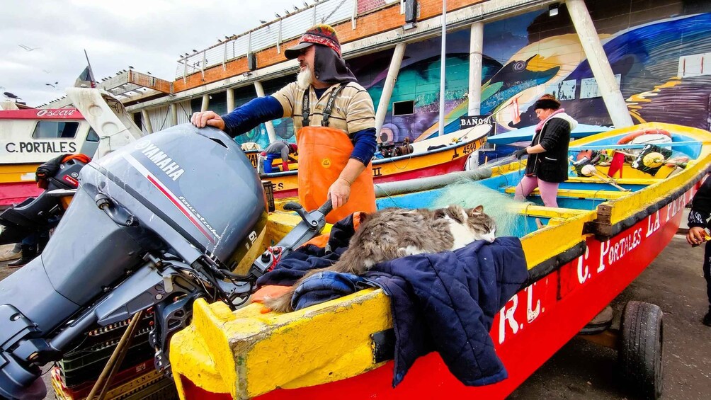A colorful boat with a Yamaha outboard motor, a cat, and people on board. 1
