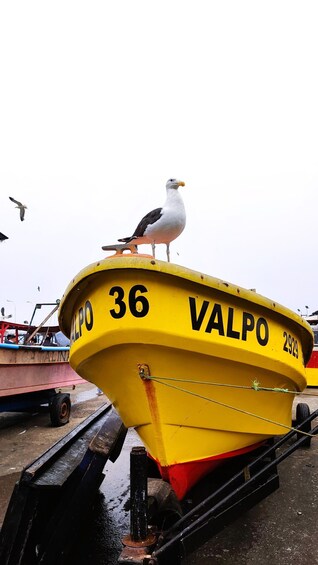 A yellow boat with the number 36 and the name VALPO on its side, docked at a marina. 5